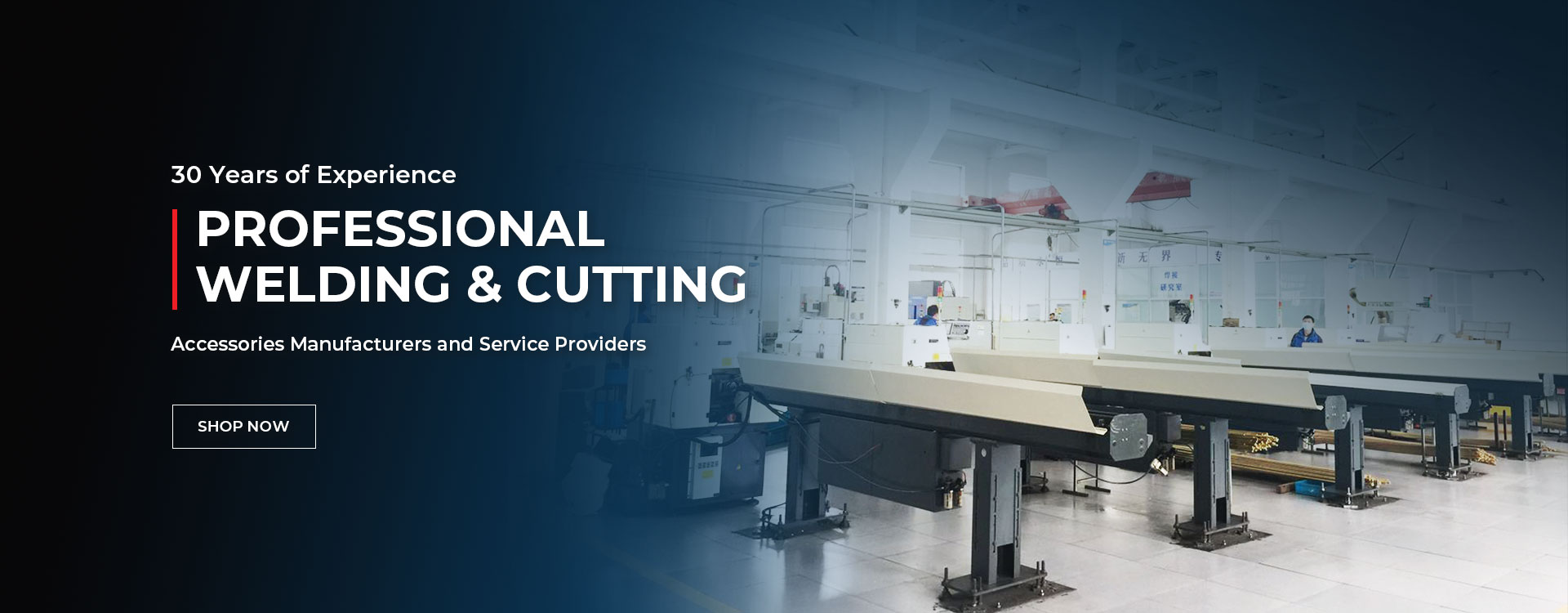 Professional  Welding & Cutting 